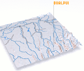 3d view of Bualpui