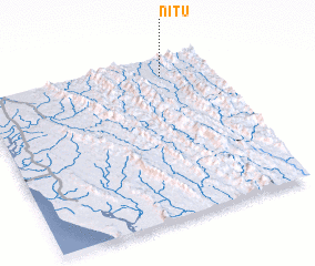 3d view of Nitu