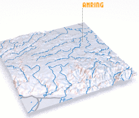 3d view of Amring