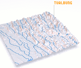 3d view of Tualbung