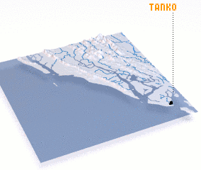 3d view of Tanko