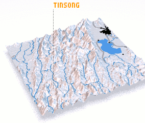 3d view of Tinsong