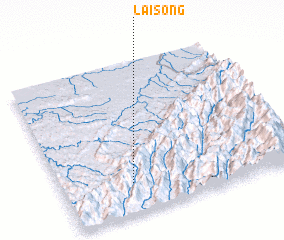 3d view of Laisong