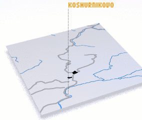 3d view of Koshurnikovo