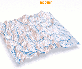 3d view of Naring