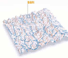 3d view of Bapi