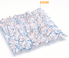 3d view of Roshi