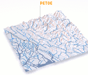 3d view of Petoe