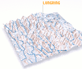 3d view of Lungring