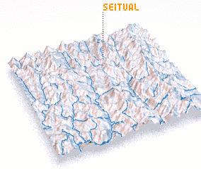 3d view of Seitual