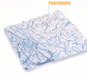 3d view of Ngashaung