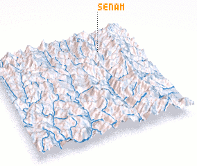 3d view of Senam