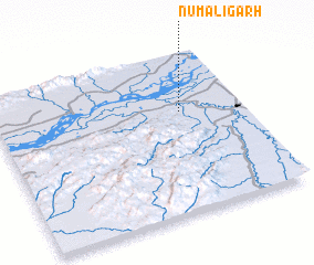 3d view of Numāligarh
