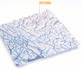 3d view of Puywa