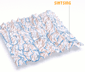 3d view of Simtsing