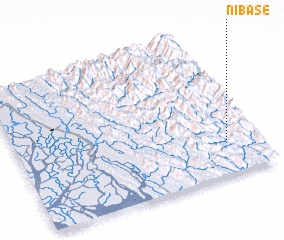 3d view of Nibase