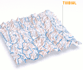 3d view of Tuibial