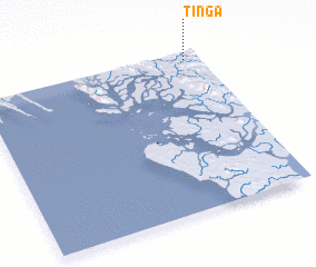 3d view of Tinga