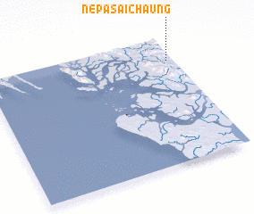 3d view of Nepasaichaung