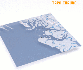 3d view of Taroichaung