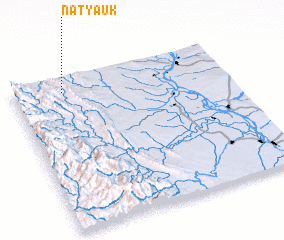 3d view of Natyauk