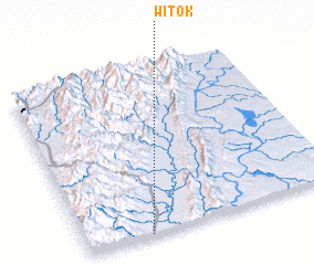 3d view of Witok