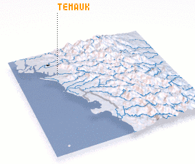 3d view of Temauk