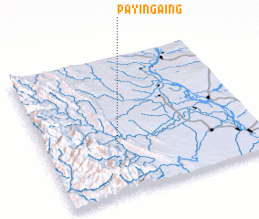 3d view of Payingaing