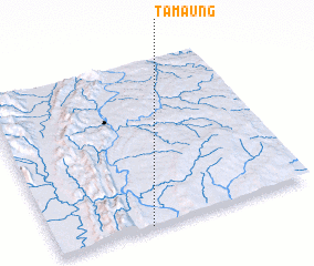 3d view of Tamaung