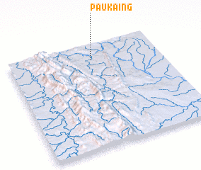 3d view of Paukaing