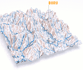 3d view of Boru