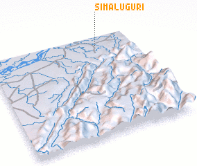 3d view of Simaluguri