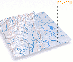 3d view of Naukpaw