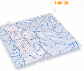 3d view of Taungni