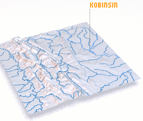3d view of Kobinsin