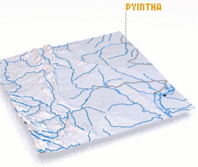 3d view of Pyintha