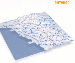 3d view of Payonga