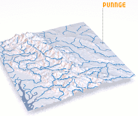 3d view of Punnge