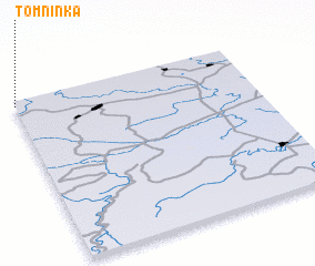 3d view of Tomninka