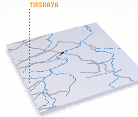 3d view of Tinskaya