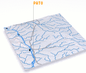 3d view of Pato