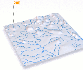 3d view of Padi