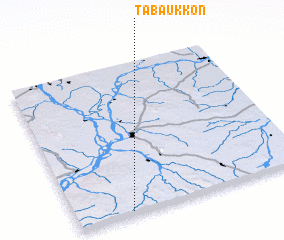 3d view of Tabaukkon