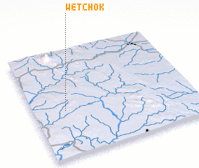 3d view of Wetchok