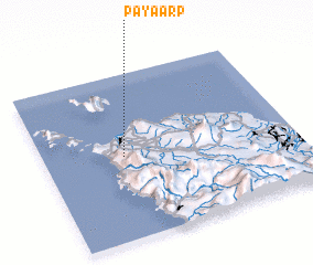 3d view of Payaarp