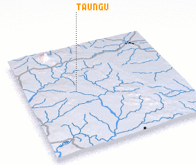 3d view of Taungu