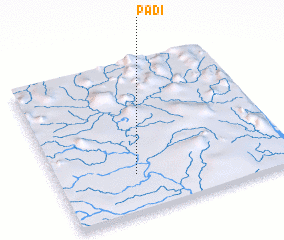 3d view of Padi