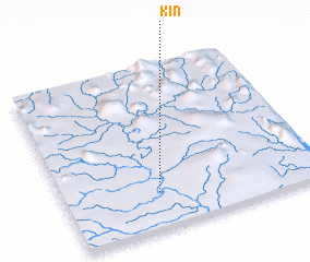 3d view of Kin