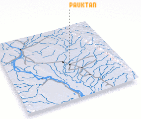 3d view of Pauktan