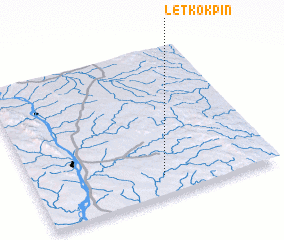 3d view of Letkokpin